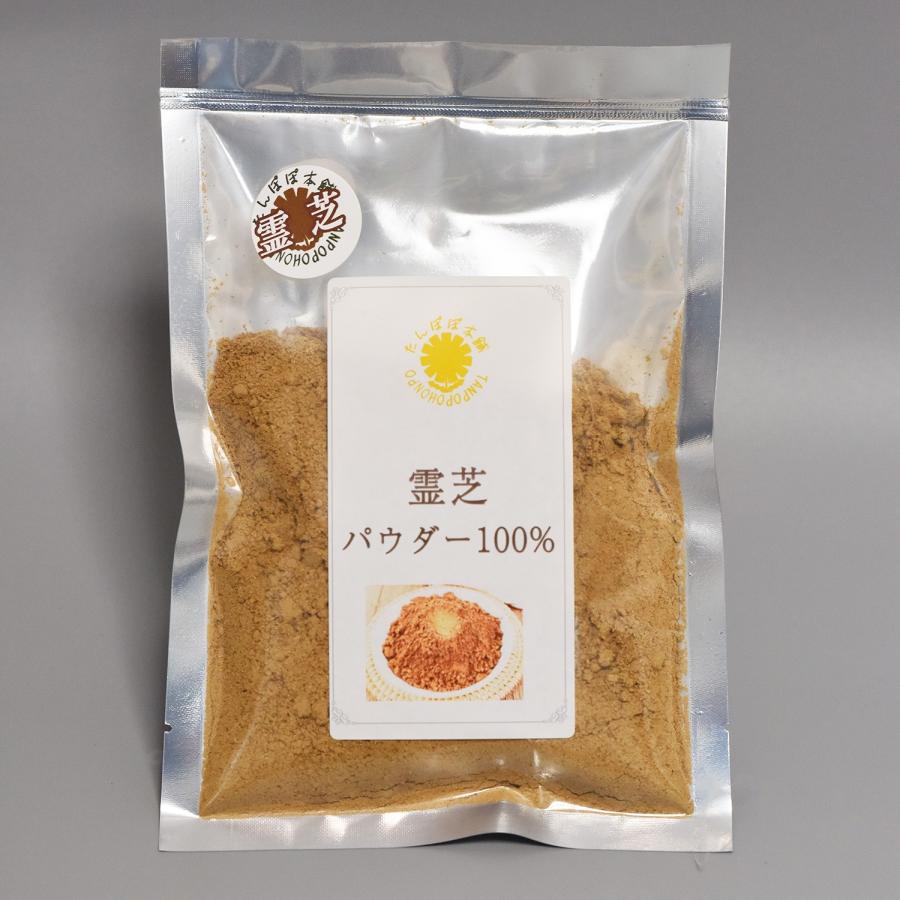 霊芝 パウダー 粉末 100g レイシ 霊芝煎じ汁 霊芝酒用 サルノコシカケ
