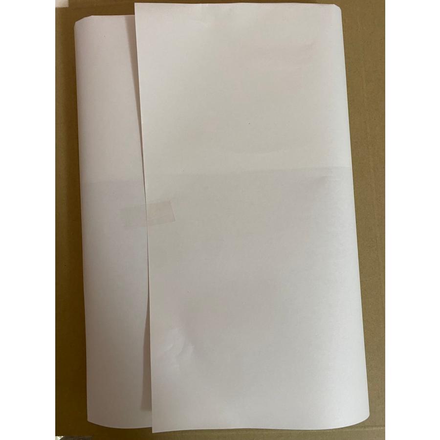 6年根高麗人参(生) 高麗人参 薬膳酒用 お料理用 110g(約10本) 参鶏湯
