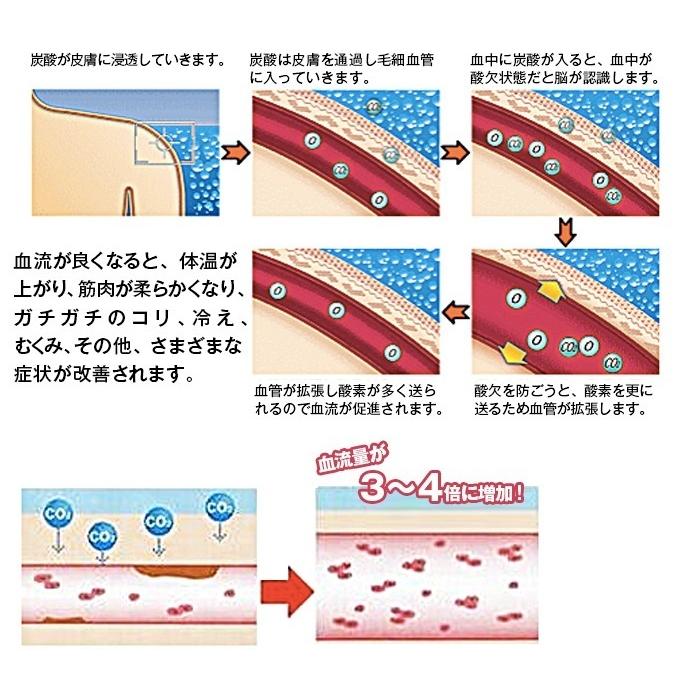 美容成分+　炭酸整体スプレー　白3本セット新品　特別説明書付き Amazon | 炭酸 高濃度 ミスト 化粧水 美容 頭皮 整体 スプレー