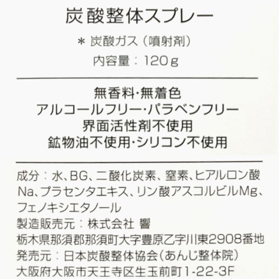 炭酸 スプレー 炭酸整体スプレー（WHITE) 5本セット 高濃度  ミスト 美容 化粧水 特典冊子付き｜tansanseitai-ec｜10