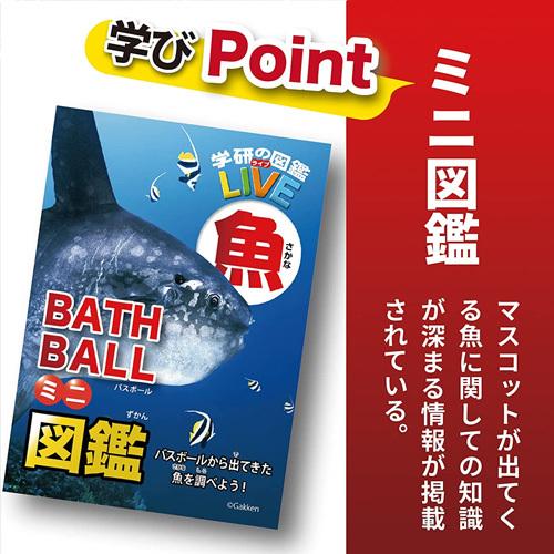 定形外郵便OK 学研の図鑑ライブ 魚バスボール GKN-7-01 入浴剤｜tansera-shop｜03