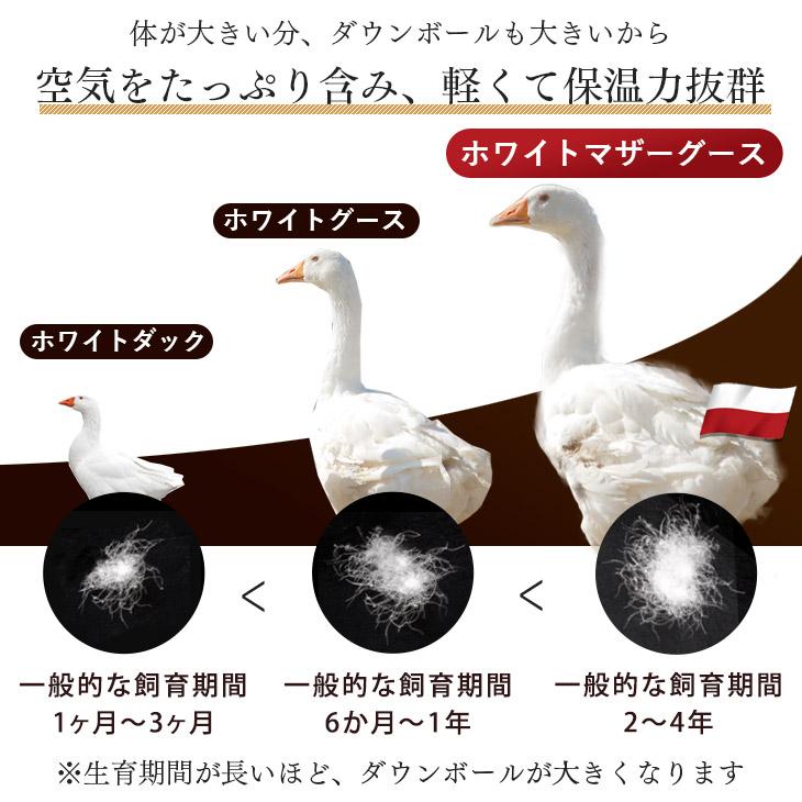 肌掛け 羽毛布団 シングル ポーランド産ホワイトマザーグース きなり タンスのゲン 羽毛布団 シングル 掛け布団 冬用 羽毛掛け布団 羽毛