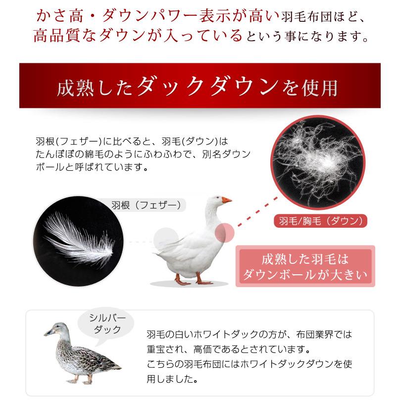 25日P14%〜 羽毛布団 シングル 2枚合わせ 日本製 ホワイトダックダウン85％ 掛け布団 羽毛ふとん 羽毛 布団 軽い 暖かい 冬用 オールシーズン 消臭 抗菌｜tansu｜06