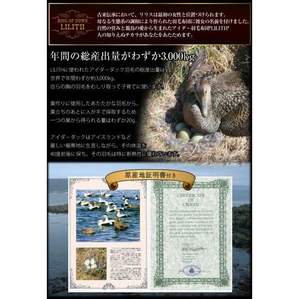 最安値に挑戦 羽毛布団 ダブルロング 掛け布団 羽毛掛布団 アイダーダウン95 日本製 国産 アイスランド産 オープニング大放出セール Www Simon Page Com