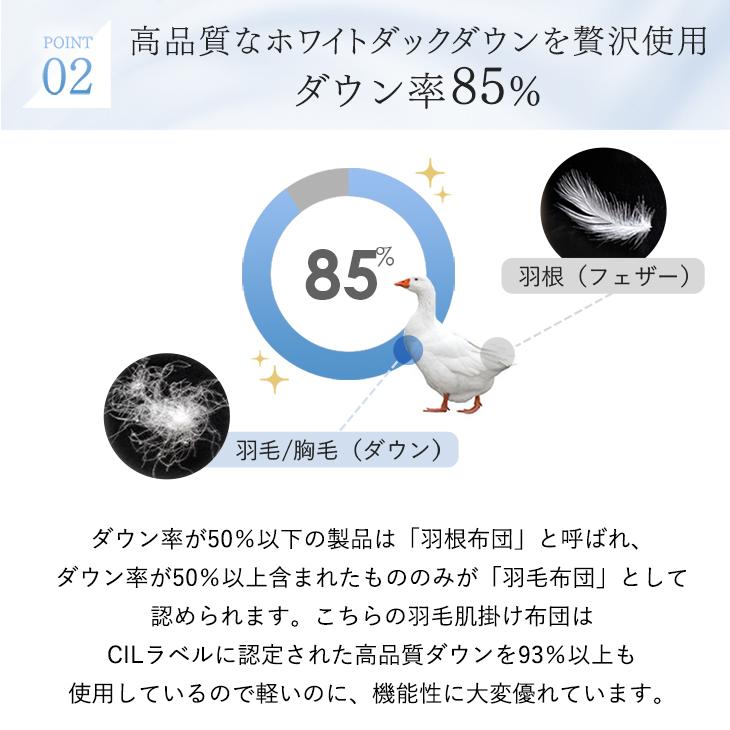 ダウンケット シングル 羽毛布団 夏用 掛け布団 ダックダウン85％ 肌掛け布団 夏布団 夏 洗える 肌掛け 肌布団 肌掛布団 日本製 夏掛け布団 | タンスのゲン | 07