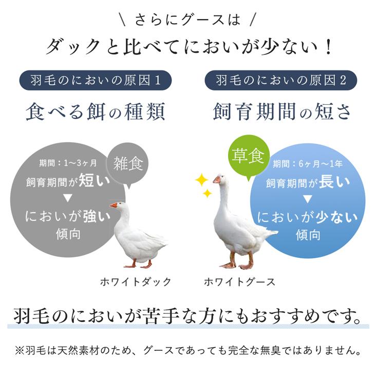 羽毛布団 シングル マザーグース ダウン 95％ 羽毛ふとん CILブラックラベル 日本製 シングルロング 防臭 掛け布団 夏用 羽毛掛布団 洗える 抗菌 防ダニ｜tansu｜06