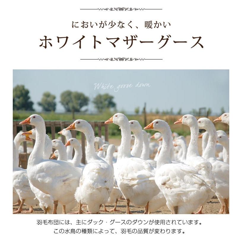 羽毛布団　クイーンサイズ　ポーランド産ホワイトマザーグースダウン　日本製 羽毛ふとん 日本製 ポーランド産ホワイトマザーグース95％ 440ダウン
