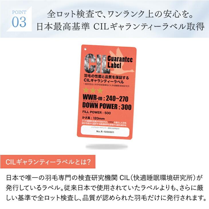 タンスのゲン 本日+4% ダウンケット セミダブル 羽毛布団 夏用 ダック