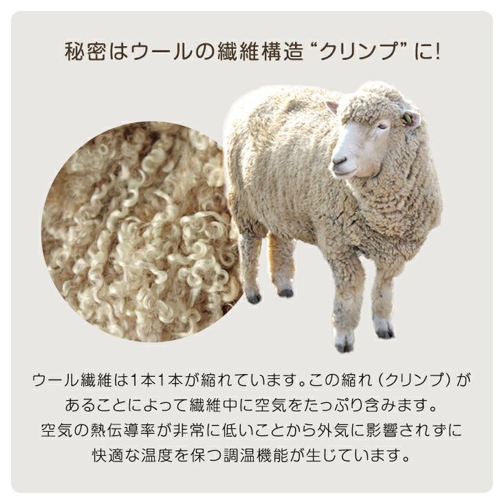 タンスのゲン 敷き布団 シングル セミシングル ショート 2枚セット 綿