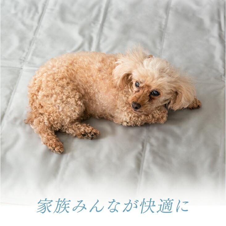 本日+4% 在庫一掃プライス 敷きパッド シングル ひんやりマット 夏 冷感 接触冷感 冷却マット 夏用敷きパッド 冷感敷きパッド ひんやり 敷パッド 夏用 | タンスのゲン | 13
