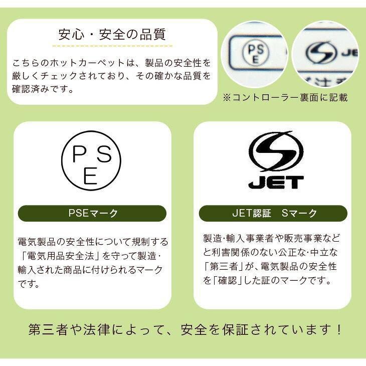 タンスのゲン ホットカーペット 洗える ラグ セット 3畳 200×250 2点