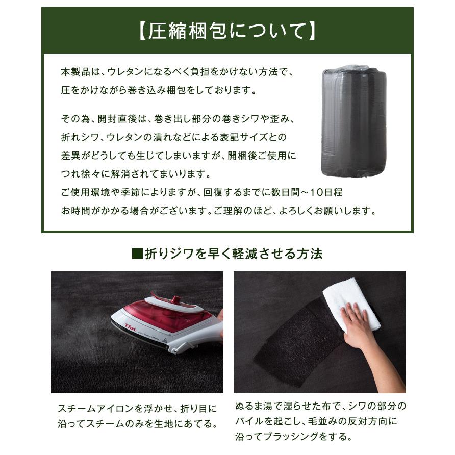 タンスのゲン 3日+5% ホットカーペット 2畳 ラグ付き おしゃれ 高反発