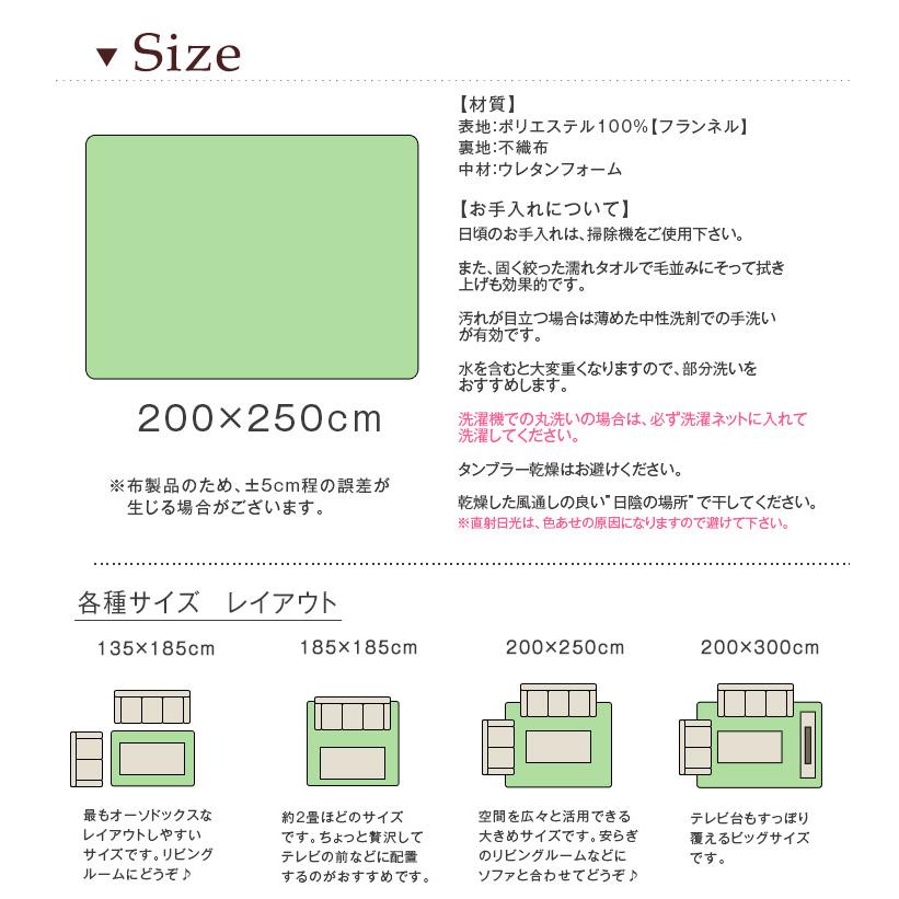 ラグ カーペット ラグマット 洗える 3畳 厚手 おしゃれ 北欧 長方形 200×250 オールシーズン 滑り止め付き カバー 絨毯 冬 ホットカーペットカバー｜tansu｜19