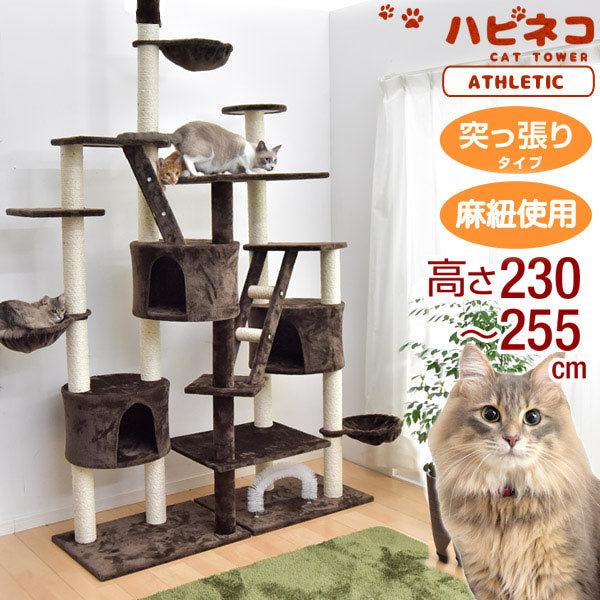 希少 キャットタワー 猫タワー 突っ張り 爪研ぎ 麻紐 ねこ 猫 ネコ キャットタワー つめとぎ キャットハウス おしゃれ 春夏新色 Www Technet 21 Org