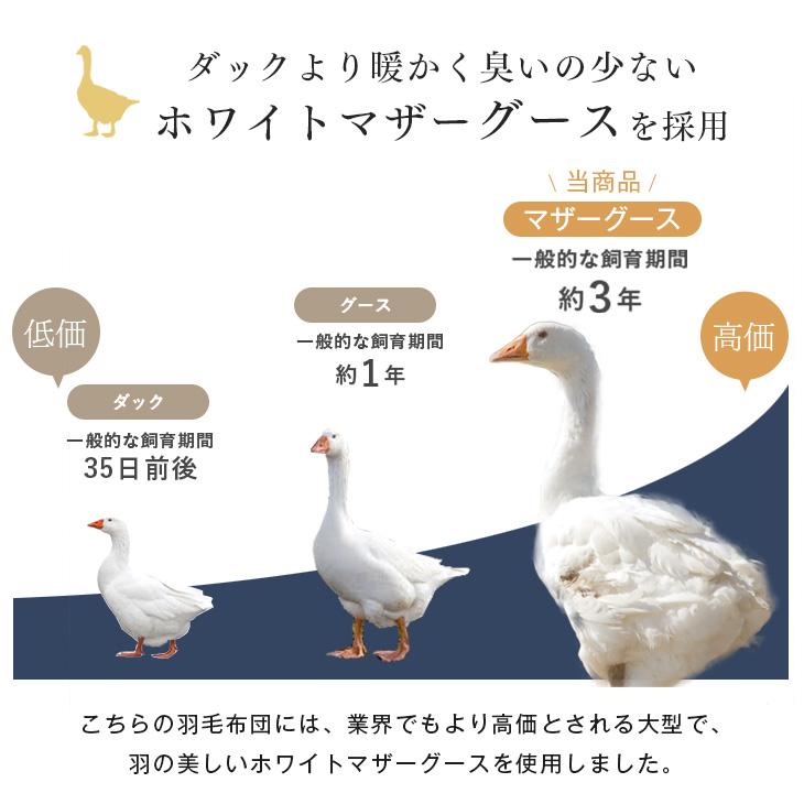 25日P14%〜 羽毛布団 シングル マザーグース ダウン 95％ 増量1.2kg グース 掛け布団 冬用 日本製 羽毛掛け布団 羽毛 ふとん 暖かい 軽い 国産 シングルロング｜tansu｜03