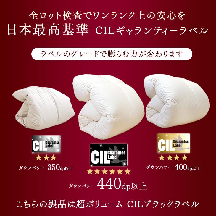 20日P12%〜 羽毛布団 シングル マザーグース ダウン95％ 2層キルト 羽毛ふとん 冬用 掛け布団 日本製 羽毛掛け布団 大増量1.5kg 羽毛 布団 消臭 抗菌 グース 国｜tansu｜13