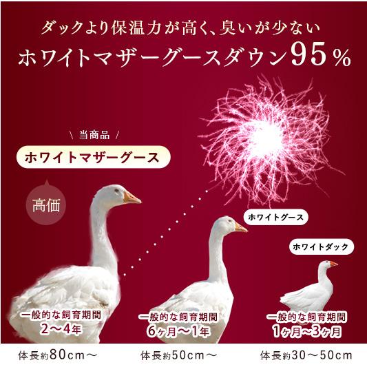 羽毛布団 シングル マザーグース ダウン95％ 2層キルト 羽毛ふとん 冬用 掛け布団 日本製 羽毛掛け布団 大増量1.5kg 羽毛 布団 消臭 抗菌 グース 国産｜tansu｜04