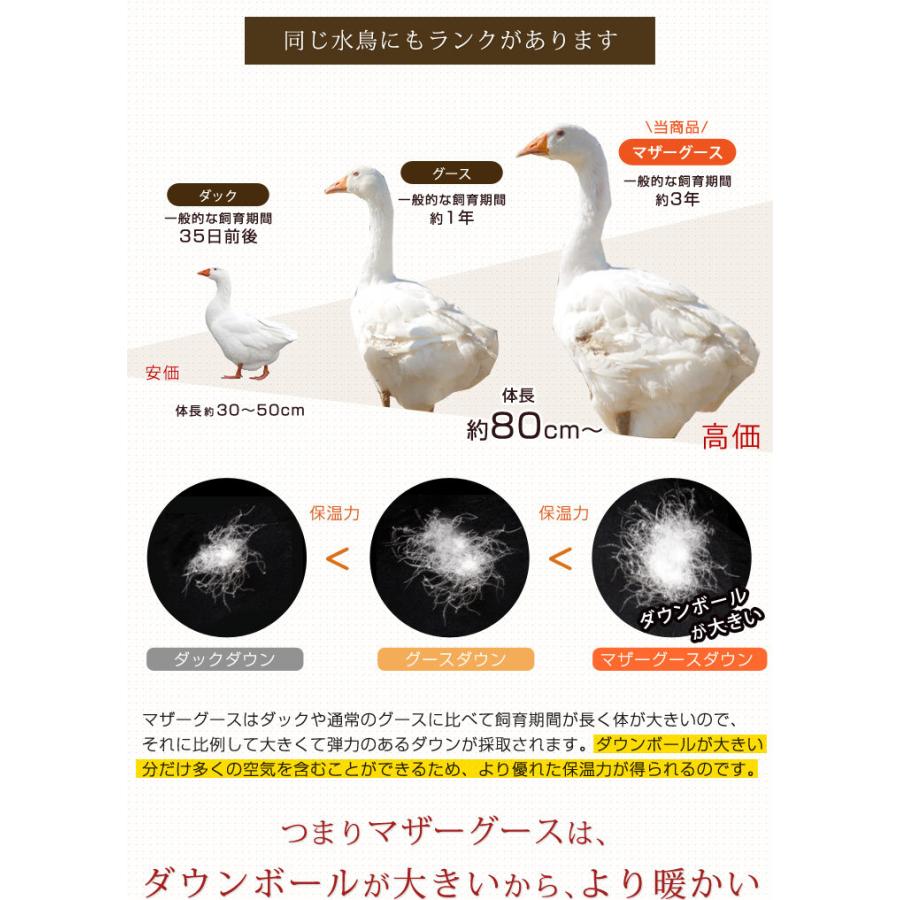 タンスのゲン 7日P15%〜 羽毛布団 クイーン 羽毛ふとん 掛け布団