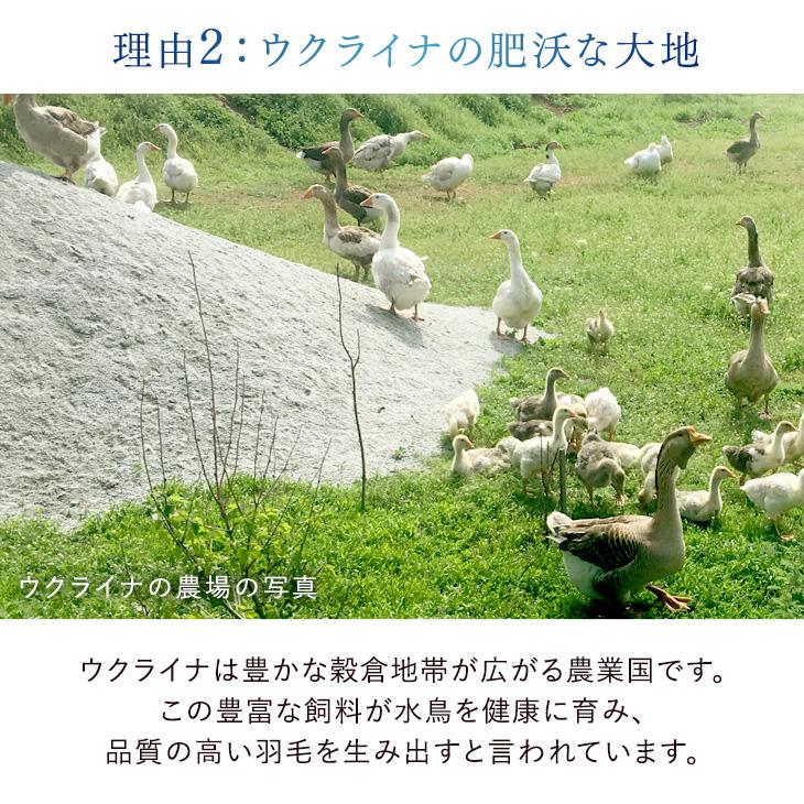 タンスのゲン 羽毛布団 ダブル ロング 掛け布団 冬用 日本製 羽毛