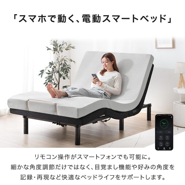 25日+5% 電動ベッド 介護 セミダブル 2モーター 介護ベッド マットレス