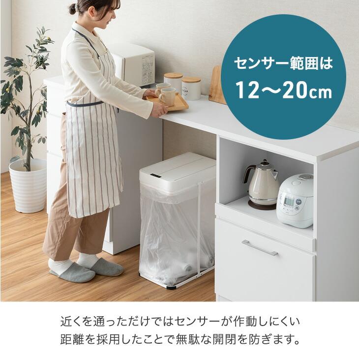 11日+5% ゴミ箱 45リットル おしゃれ 45l スリム 自動開閉 蓋付き フレーム ふた付き 蓋付きゴミ箱 ごみ箱 シンプル プッシュ ダストボックス 自動開閉ゴミ箱 | タンスのゲン | 06