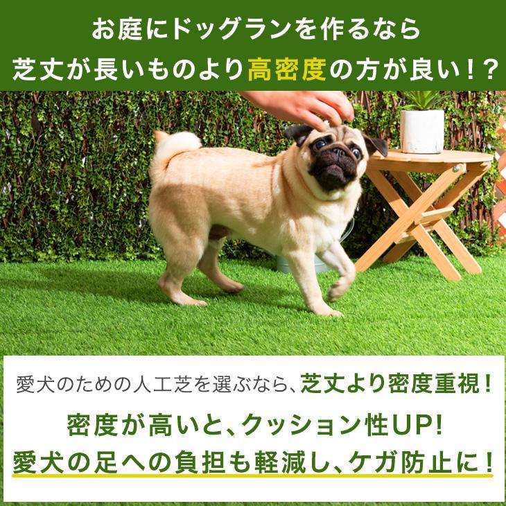 タンスのゲン - 人工芝 1ｍ×10ｍ 渦巻形 2個仕かける 人工芝つや消し 芝草つや消し 即物的人工芝 diy u字いの一番 48本 20粍 犬 愛玩動物 即物的 芝草 芝つや消し ドッグラン 庭