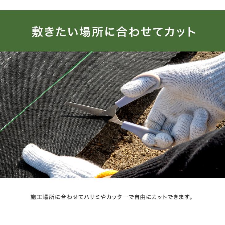 タンスのゲン 28日+5% 防草シート 2セット 1×10 人工芝 固定