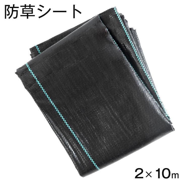 tansu 50900075