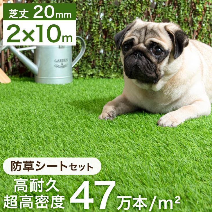 7日P15%〜 人工芝 ロール 2ｍ×10ｍ 防草シート付 U字ピン付 48本 20mm diy 耐久 リアル 犬 ドッグラン 庭 ベランダ 芝生 おしゃれ 超大型 の商品画像