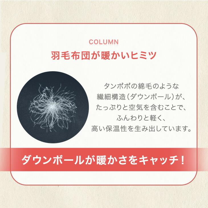 タンスのゲン 17日+5% 掛け布団 シングル 冬用 洗える 防ダニ もはや