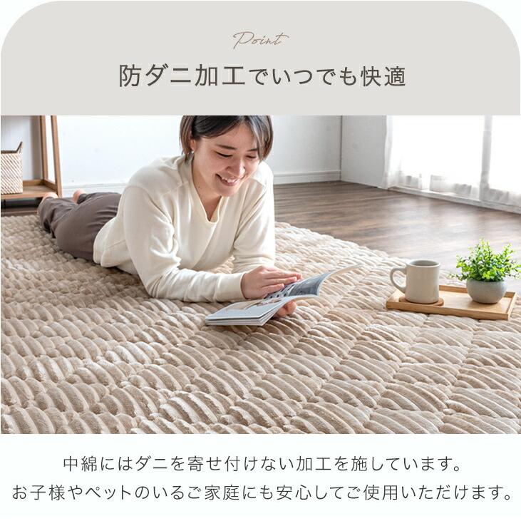 タンスのゲン 15日+5% ラグ 2畳 カーペット ラグマット 洗える