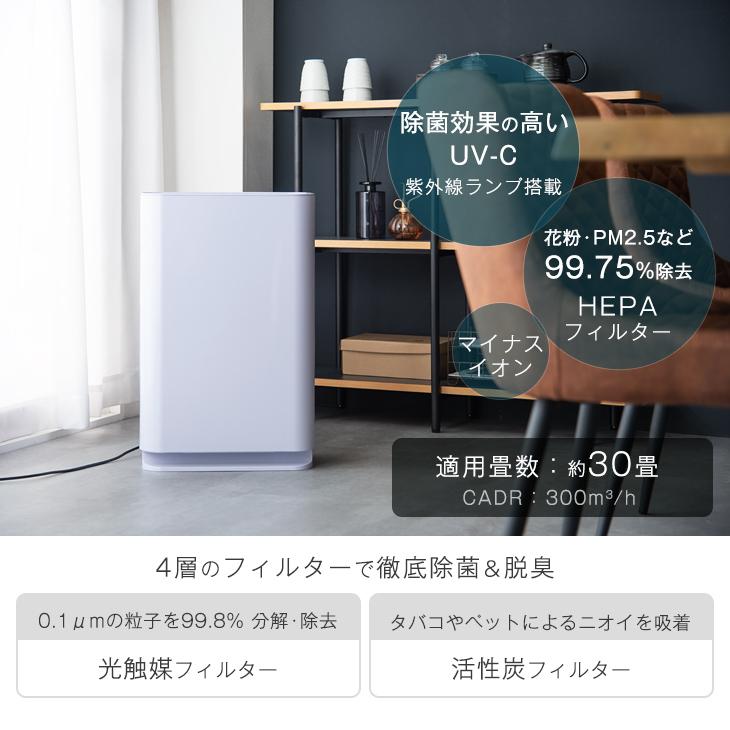 空気清浄機 花粉対策 PM2.5対策 フィルター 30畳適用 マイナスイオン