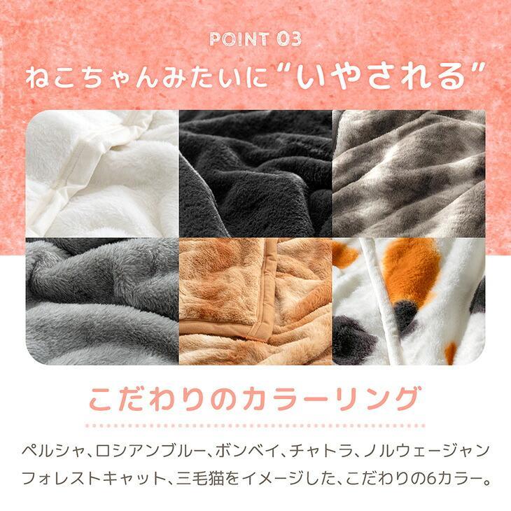 タンスのゲン 本日+4% 毛布 シングル 暖かい 2枚合わせ 洗える 冬用