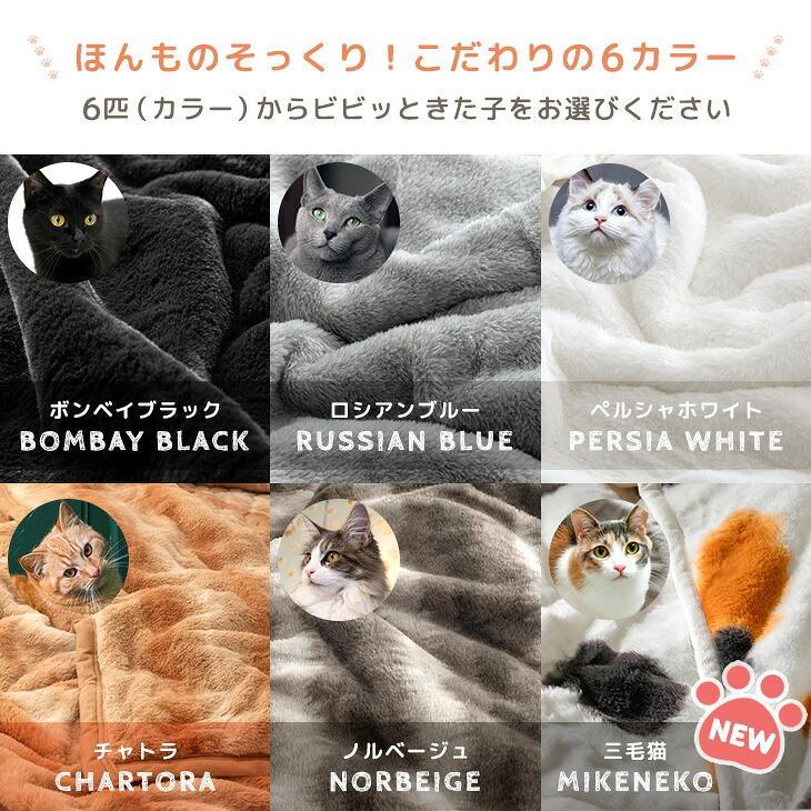 タンスのゲン 本日+4% 毛布 シングル 暖かい 2枚合わせ 洗える 冬用