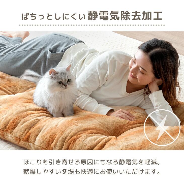 うんたねこ クッション マット ダイカットクッション うんた | うんたた商会