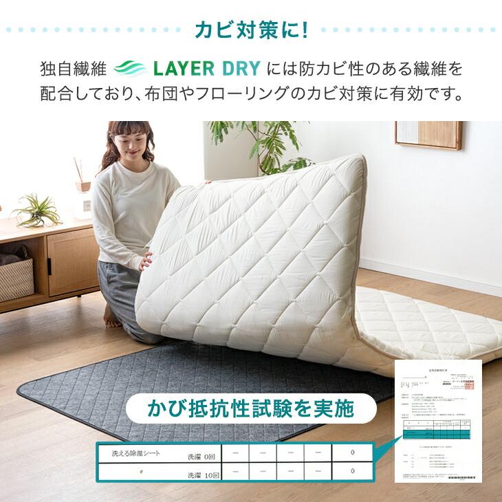 タンスのゲン 本日+5% 除湿シート ダブル シリカゲルの4倍吸水 除湿