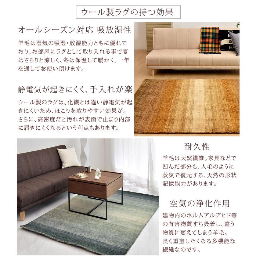 タンスのゲン ラグ ラグマット 170×240 厚手 カーペット 秋冬 タンスのゲン ラグ ラグマット 170×240 厚手 カーペット 秋冬