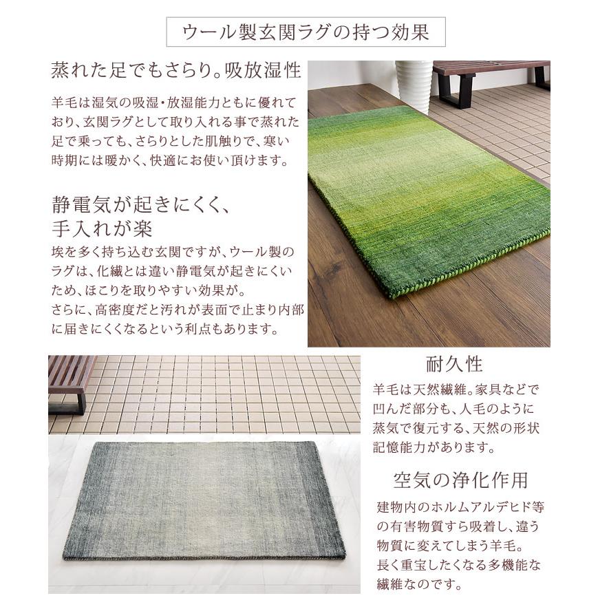 タンスのゲン 玄関マット 室内用玄関マット 屋内 おしゃれ モダン