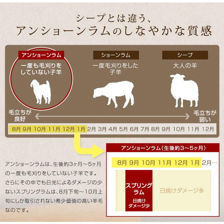 タンスのゲン 本日+4% ムートンラグ 200×200 ムートン ラグ 短毛