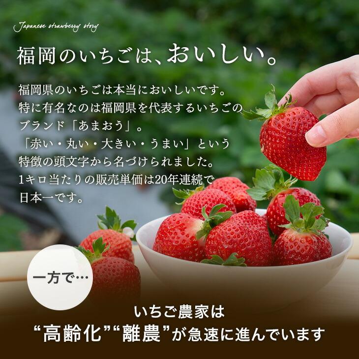 ジャム いちご あまおう 完熟 無添加 ギフト 8瓶 いちごジャム お中元