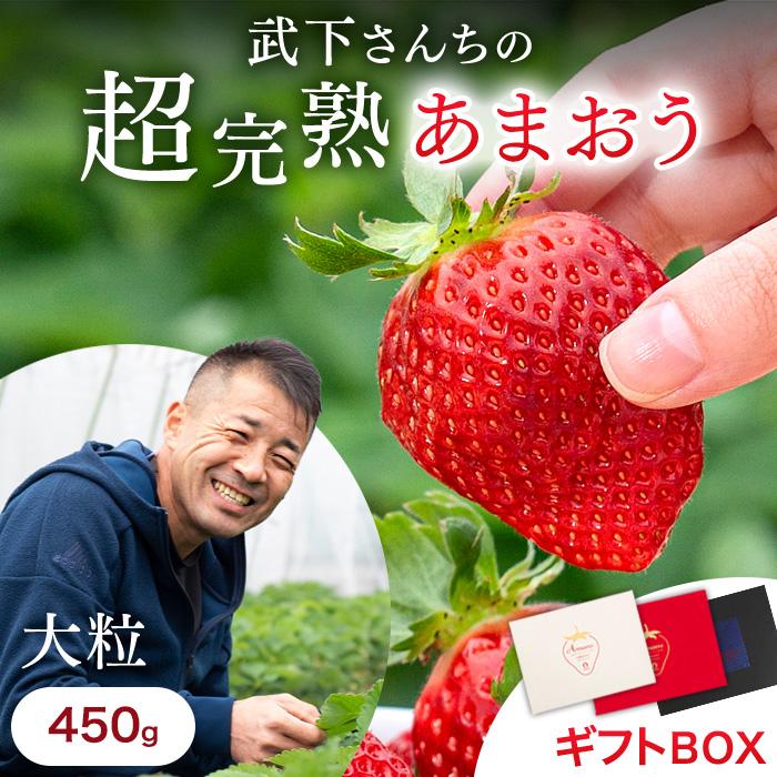 超完熟 あまおう 450g ギフトBOX 大粒 3L いちご 甘い 完熟 苺 イチゴ