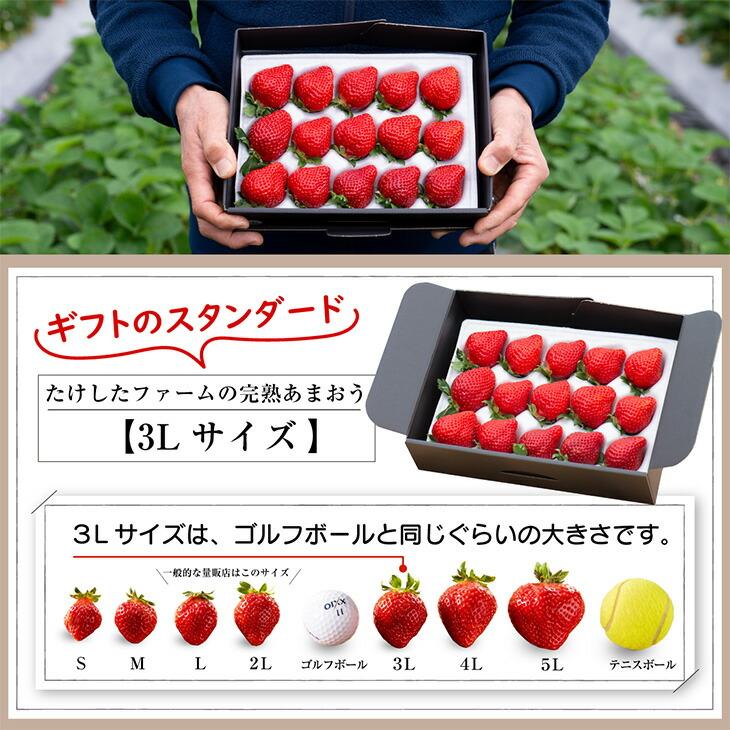 11日+5% 超完熟 あまおう 450g ギフトBOX 大粒 3L いちご 甘い 完熟 苺