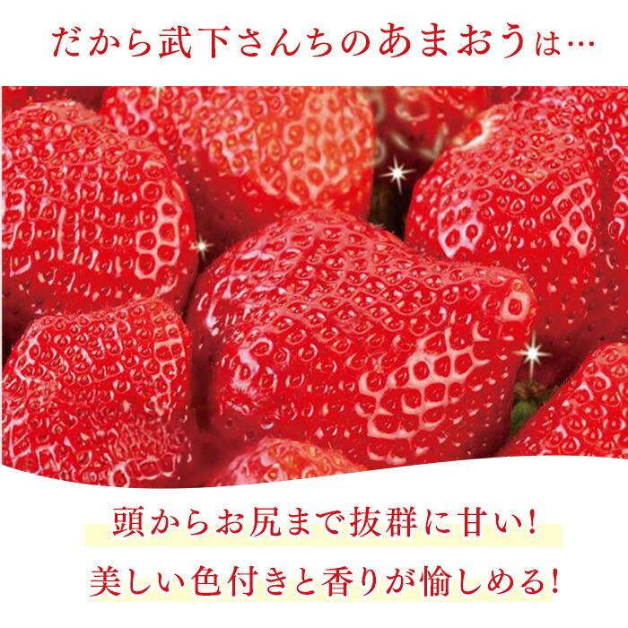 超完熟 あまおう 900g ギフトBOX 大粒 3L いちご 甘い 完熟 苺 イチゴ