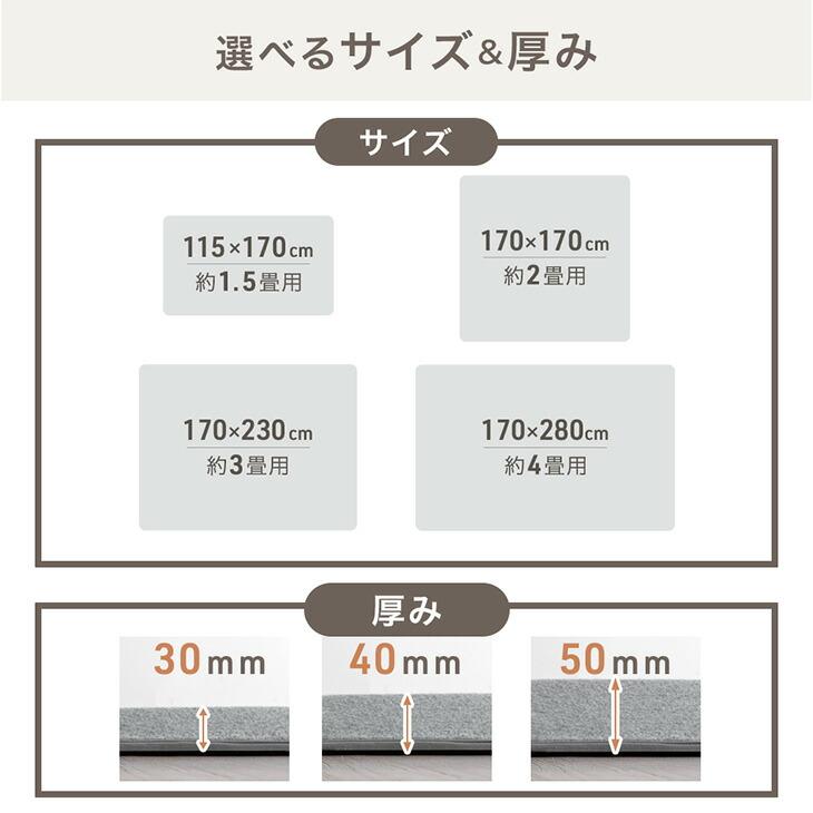 タンスのゲン 下敷きマット 洗える ラグ 下敷き 極厚 30mm 115×170