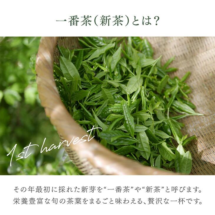 抹茶 粉末 40g 八女 緑茶 抹茶パウダー お歳暮 お茶 MATCHA 寒中見舞い ギフト 業務量 家庭用 八女茶 薄茶 濃茶 茶葉 グリーンティ 高級 贈り物 贈答用 お祝い |  | 06