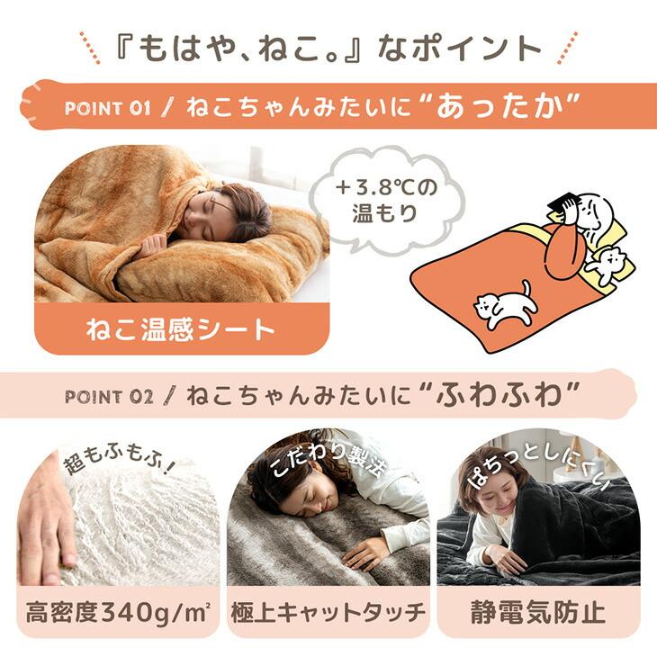 タンスのゲン 毛布 ボックスシーツ セット シングル 福袋 2026 暖かい