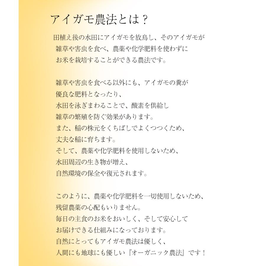 絹もち　白もち　15個入　無農薬あいがも餅米使用　杵つきでなめらかな食感　クール便＠｜tantanjp｜05