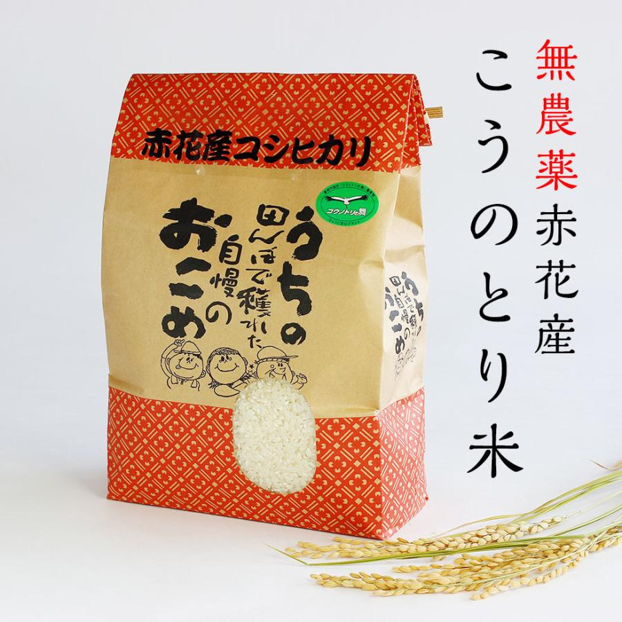 取扱 店 東京 特別セール！玄米限定 令和4年 埼玉県産コシヒカリ 玄米