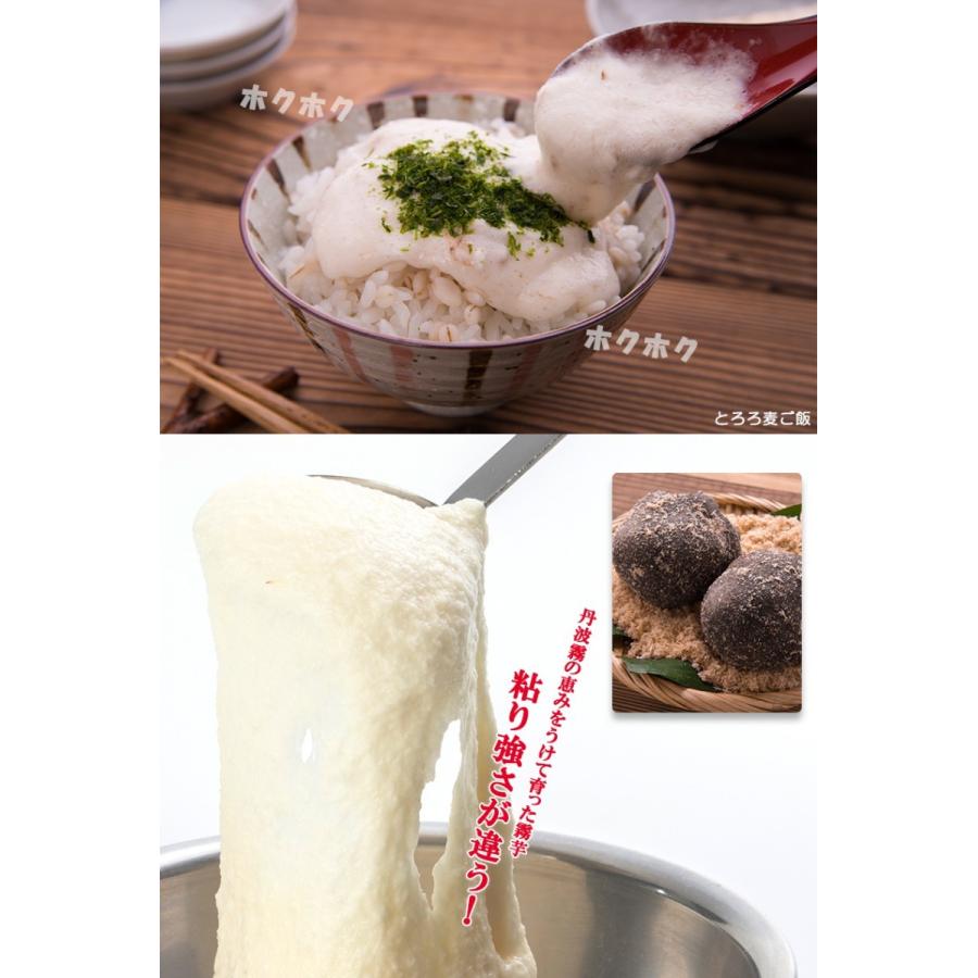 丹波産霧芋とろろ すりおろし 1kg 冷凍便 C 007 002 メイドインたんたん 通販 Yahoo ショッピング