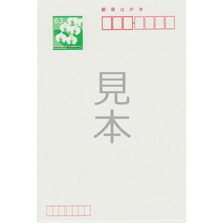 《官製 10枚》喪中はがき（のじぎく）縦書きタイプ（No.817）《既製文章/63円切手付ハガキ/胡蝶蘭切手/裏面印刷済み》｜tantanjp｜02